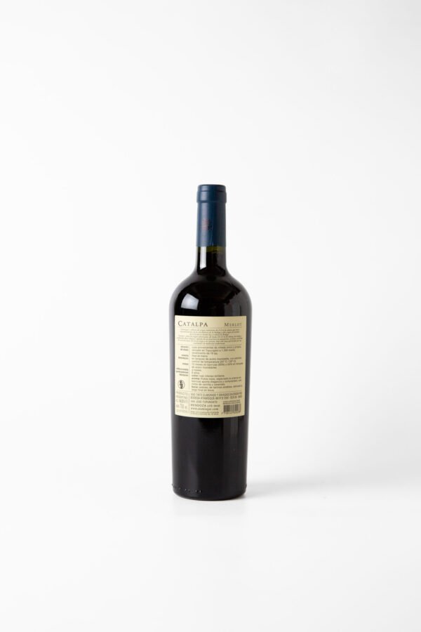 Catalpa Merlot - Imagen 2